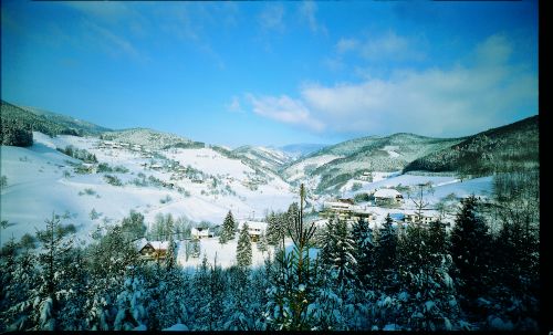 Winter gro�